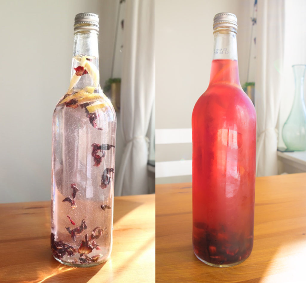 Delicious Cold Brewed Hibiscus Tea Recipe  Ninja Hot and Cold Brewed  System Tutorial” 